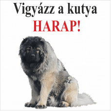 Kutyatábla | Kaukázusi | 12,5x12,5 cm