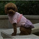 Kutyaruha Petsoo Leopárdmintás Rózsaszín