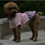 Kutyaruha Petsoo Leopárdmintás Rózsaszín