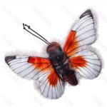 Nobleza Játék Pillangó Mentás