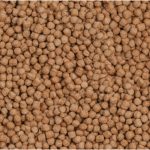 Sera Koi Royal Medium 1 liter