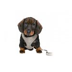 Trixie Kölyökhám és Póráz Szürke