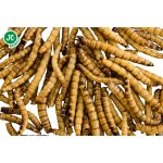 JK Animals Gyászbogárlárva 500ml/80g Zacskós