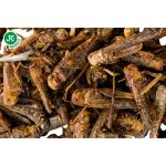 JK Animals Fagyasztott Szárított Sáska 500ml/80g Zsacskós