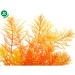 JK Animals Akváriumi Műnövény Ambulia Narancssárga