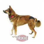 Trixie Tüzelő Bugyi 1 (S)
