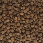 Dajana Turtle Chips 250ml