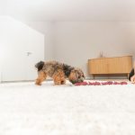 Trixie Kutyajáták Kolbász Kötéllel 75 cm