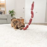 Trixie Kutyajáták Kolbász Kötéllel 75 cm