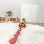 Trixie Kutyajáták Kolbász Kötéllel 75 cm