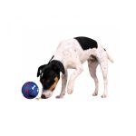 Trixie Snack Labda Nagy (Több színben)