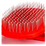 Nobleza Terrier Kefe