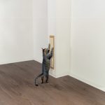 Trixie Karomkoptató Kicsi