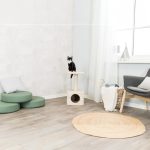 Trixie Karomkoptató Zamora