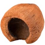 Nobleza Hörcsög / Madár Ház Kókusz