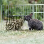 Trixie Szénarács 20 x 18 x 12 cm