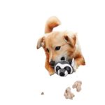 Nobleza Kutyajáték Plüss Mosómedve