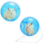 Nobleza Hörigömb Álvánnyal 12 cm