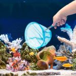 Nobleza Teleszkópos Akváriumi Háló