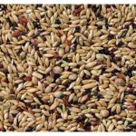 Deli Nature Premium Kanári 1 kg