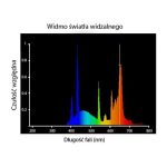 Diversa Fénycső Opti Plant 30W 90 cm