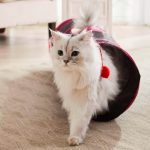 Nunbell Cica Alagút Egyenes