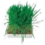 Panzi Macskafű 300 g