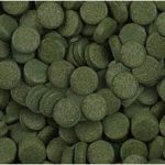 Sera Spirulina 24 tabletta