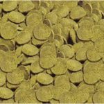 Sera Wels - Chips 100ml