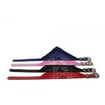 Kutyanyakörv Kendővel Mini