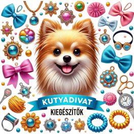 Kutyadivat Kiegészítők