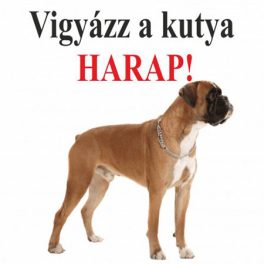 Kutyatáblák