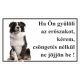 Kutyatábla Border Collie 25x15 cm
