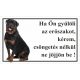 Kutyatábla Rottweiler 25x15 cm