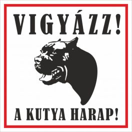 Kutyatábla Cane Corso 12.5x12.5 cm