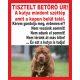 Kutyatábla Amerikai Pitbull 3 10x12.5 cm
