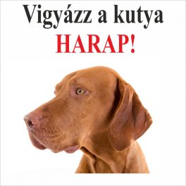 Kutyatábla Vizsla 12.5x12.5 cm