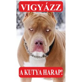 Kutyatábla Pitbull 4 25x15 cm