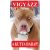 Kutyatábla Pitbull 4 25x15 cm