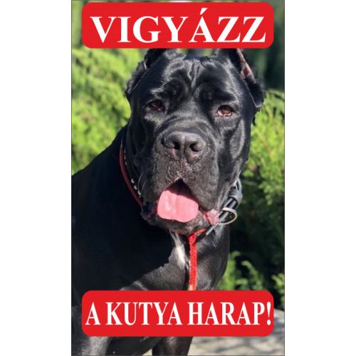 Kutyatábla | Cane Corso 4 | 25x15 cm