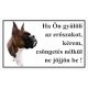Kutyatábla Boxer Színes 25x15 cm