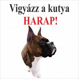 Kutyatábla Boxer Színes 2 12.5x12.5 cm